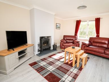 A living room with two red sofas a wood stove and a television on a wooden cabinet at Glyn Cottage in Llanon