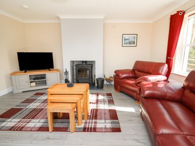 A living room with red leather sofas a wood burning stove a television on a stand and nested wooden tables on a plaid carpet at Glyn Cottage in Llanon