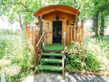 A wooden cabin with green carpeted steps and porch surrounded by plants at Hugatree in Little Dunham near Litcham