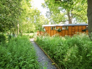 A gravel path leading through tall grass and wildflowers to a wooden cabin surrounded by trees at Hugatree in Little Dunham near Litcham