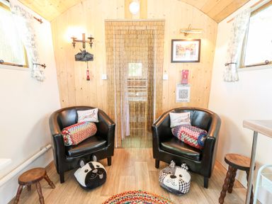 A small sitting area with two black armchairs and pillows on a wooden floor at Hugatree in Little Dunham near Litcham