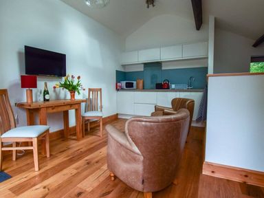 A small living area with two brown armchairs wooden chairs a table with a flower vase and a bottle a mounted tv and a kitchenette at Old Sawrey Stores in Hawkshead