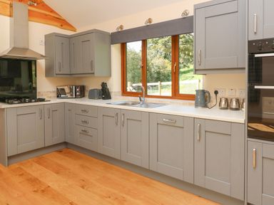 A kitchen with grey cabinets a countertop microwave toaster kettle and a window overlooking greenery at Ploony Hill Cabin in Bleddfa near Knighton
