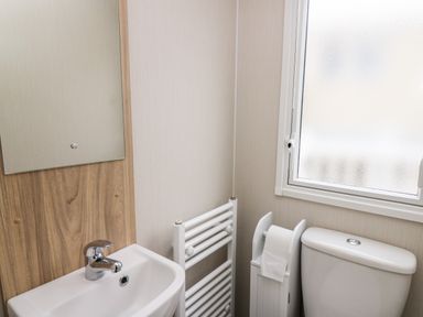A bathroom with a sink and faucet a white towel radiator a toilet with a toilet paper holder and a frosted window at Ystwyth 26 in Borth