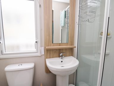 A bathroom with a toilet sink mirror and shower at Ystwyth 26 in Borth