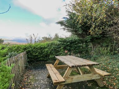 A wooden picnic table surrounded by bushes and trees with a mountain view at Ystwyth 26 in Borth