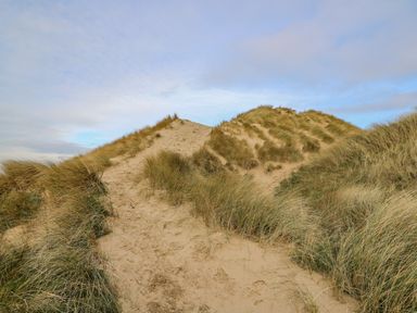 A sandy path through grassy sand dunes under a partly cloudy sky at Ystwyth 26 in Borth