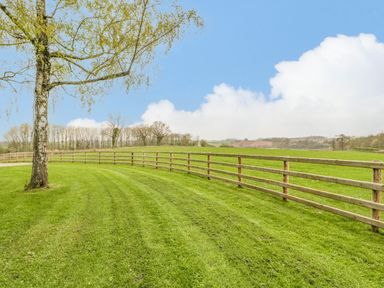 A fenced green grassy field with a tree and distant trees at Orchard House in Risbury near Leominster