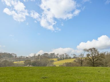 A green field with trees and a distant yellow hill under a blue sky with clouds at Orchard House in Risbury near Leominster