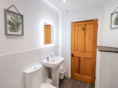 A bathroom with a white toilet and sink a wooden door and two framed fern prints at St Peters Cottage in Milnthorpe