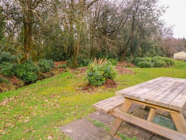 A wooden picnic table on a grass lawn next to shrubs and trees at Blue Sky Cottage Rosecraddoc Lodge near Liskeard