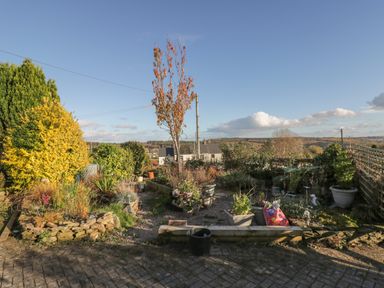 A garden with plants and trees and a stone wall at The Annex in Drybrook