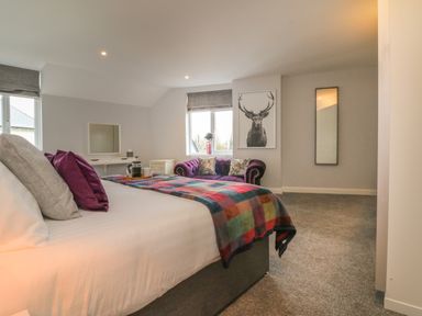 A bedroom with a bed pillow and blanket a purple sofa and a deer artwork on the wall at The Old Coach House in Braunton