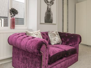 A purple velvet sofa with two silver cushions next to a window with a flower vase and a deer picture on the wall at The Old Coach House in Braunton