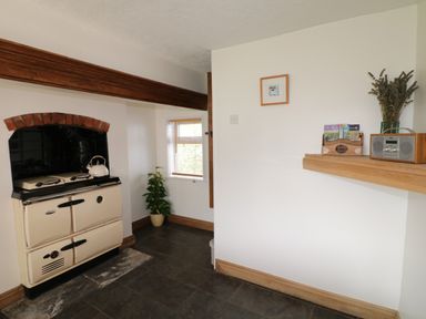 A kitchen corner with a cream stove kettle on top a small plant near a window a wooden shelf with a radio and dried flowers at Hops Cottage in Doveridge