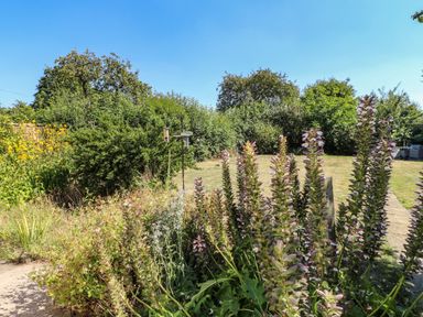 A garden with tall flowering plants and bird feeders with trees in the background at Hops Cottage in Doveridge