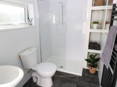 A bathroom with a toilet, shower enclosure, sink, shelving with towels and plants at Hazel Nook in Narberth