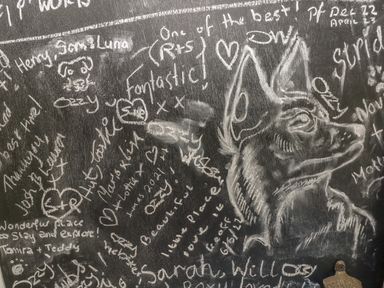 A chalkboard with a drawing of a dog's head and various handwritten notes and names around it Hazel Nook Narberth
