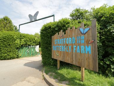 An entrance gate with a butterfly figure and a wooden sign that reads Stratford upon Avon Butterfly Farm surrounded by greenery