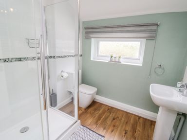 A bathroom with a glass shower enclosure a toilet a pedestal sink and a window with a blind at Afallon in Penmachno