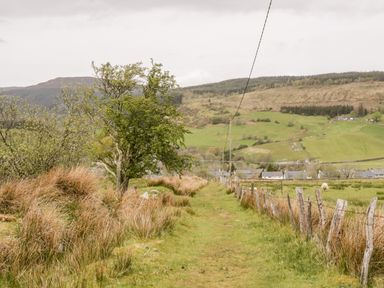 A grassy path with a tree and fence leading towards houses and hills in the background at Afallon in Penmachno