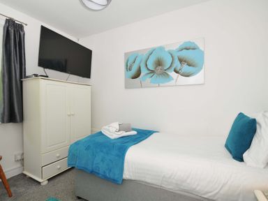 A bedroom with a single bed blue blanket and pillow a white cabinet with a television on top and floral artwork on the wall at 59 Valley Lodge in Callington near Gunnislake
