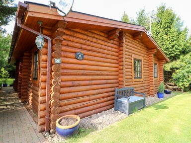A wooden log cabin with windows and potted plants on a lawn at Jalan End in Felton