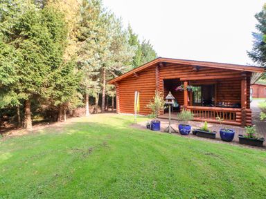 A wooden log cabin with a porch and potted plants on a grass lawn near trees at Jalan End in Felton