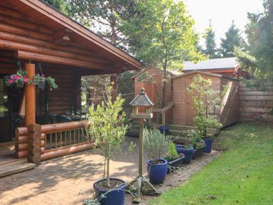A log cabin porch with hanging flower baskets and outdoor furniture next to garden sheds and potted plants at Jalan End in Felton