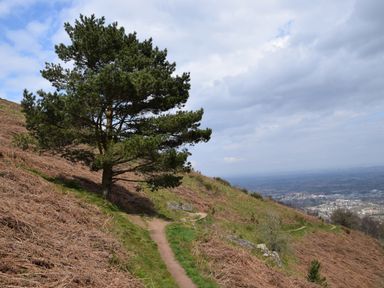 A dirt path going up a grassy hillside with a tree on the left and a town visible in the distance at The Hideaway in Malvern