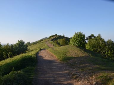 A dirt path winding through grassy hills with trees on either side at The Hideaway in Malvern