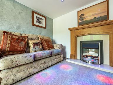 A living room with a floral patterned sofa with animal cushions and a wooden fireplace with a painting above it at Pendre Cottage in Cenarth