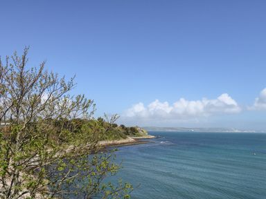 A coastal scene with a tree in the foreground a rocky shoreline and calm sea at The Brewery in Brewers Quay Harbour