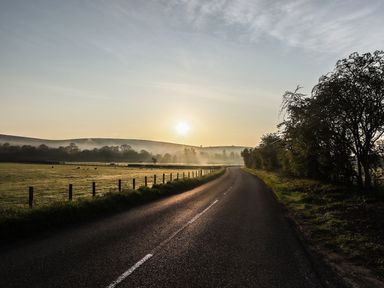 A country road with a fence and trees beside fields at sunset at Greystead Institute in Bellingham