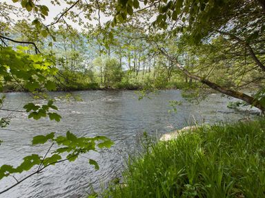 A flowing river with trees and grass along the banks at Greystead Institute in Bellingham