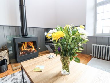 A living room with a wood burning stove a wooden table with a vase of flowers a television and a window at Greystead Institute in Bellingham