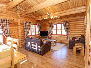 A living room with brown leather sofas a wooden coffee table a television and checkered curtains at Rowan Lodge in Greetham Rutland