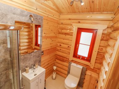 A bathroom with a toilet sink mirror and shower in a wooden cabin at Maple Lodge in Greetham Rutland