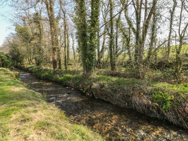 A small stream flowing beside a grassy area with trees lining the bank at Ballasalla in Liskeard