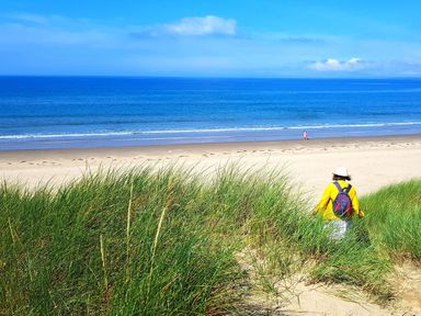 A person walking through tall grass towards a sandy beach and blue ocean at Gerlan in Harlech
