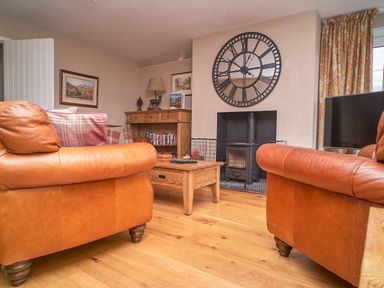 A living room with two leather sofas a wooden coffee table a fireplace with a protective screen a large wall clock and a wooden cabinet at Plumblands in Chapel Stile