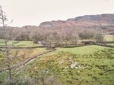 A grassy field with trees near a stone wall and hills in the background at Plumblands in Chapel Stile