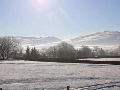 A snow-covered field with stone walls and trees with snow-covered hills in the background at Fig Cottage in Kirkby Stephen