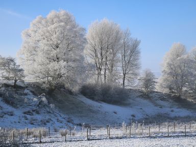 A snowy landscape with frost-covered trees and a wire fence in the foreground at Fig Cottage in Kirkby Stephen