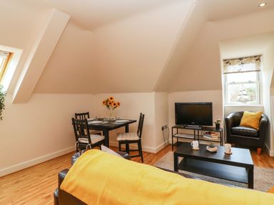 A living room with a black dining table and chairs sunflowers on the table a television on a stand an armchair with a yellow cushion and a coffee table with mugs and a plant at Harbour Reach 6 Weymouth