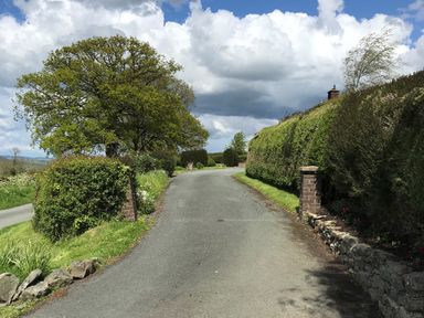 A country lane bordered by tall hedges and trees under a cloudy sky at Berwyn View in Trelydan near Welshpool