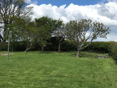 A garden with grass trees and a clothesline pole at Berwyn View in Trelydan near Welshpool