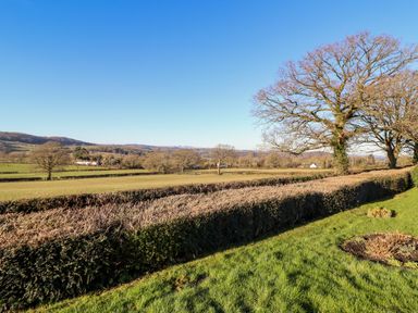 A grassy yard with trimmed hedges and trees overlooking fields and hills at Berwyn View in Trelydan near Welshpool