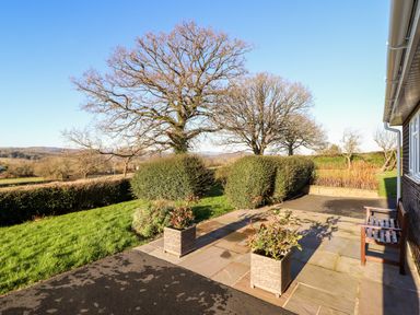 An outdoor patio area with two planters, a wooden bench, trimmed hedges, and leafless trees at Berwyn View in Trelydan near Welshpool