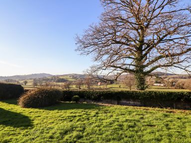 A garden with a large tree and bushes overlooking rolling hills at Berwyn View in Trelydan near Welshpool
